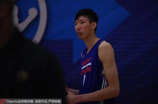 周琦最新数据爆料,篮球场上的崛起之星